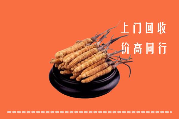 高价求购：丰台区回收散虫草