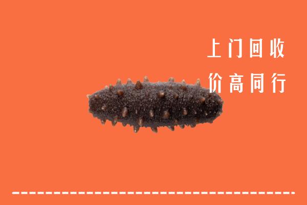高价求购：丰台区回收海参