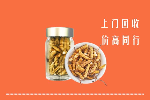 丰台区回收冬虫夏草